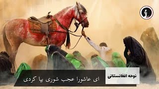 ای عاشورا عجب شوری بپا کردی - نوحه ماندگار افغانستانی Sina Zani Afghani - Aye Ashura