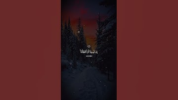 ﴿رَبَّنَا لَا تُؤَاخِذْنَا إِن نَّسِينَا أَوْ أَخْطَأْنَا﴾ | سورة البقرة #محمد_صديق_المنشاوي #قرآن