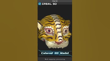 🐯 3D Scanning the Tiger Head Sculpture #3dscanning