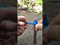 Woww... Perfect knot 💯#shorts #knot #knots #rope #diy