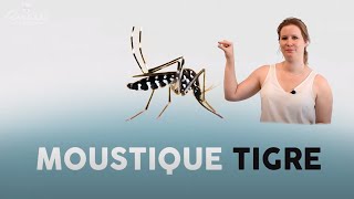 Minute Santé - S02 ep 07 - Le moustique tigre