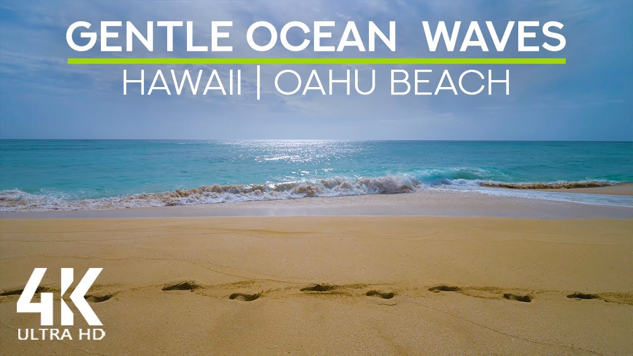在 YouTube 上观看 White Noise of Crashing Waves for Deep Relaxation - 4K Relaxing Ambience of Oahu Beach, Hawaii 在 YouTube 上观看 White Noise of Crashing Waves for Deep Relaxation - 4K Relaxing Ambience of Oahu Beach, Hawaii