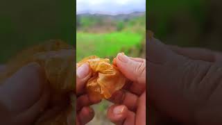 How to play with a bean curd spicy strip, you can also tear it open and eat it, it is not made of