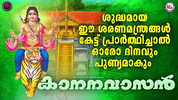 ശുദ്ധമായ ഈ ശരണമന്ത്രങ്ങൾ കേട്ട് പ്രാർത്ഥിച്ചാൽ ഓരോ ദിനവും പുണ്യമാകും |Ayyappa Songs Malayalam