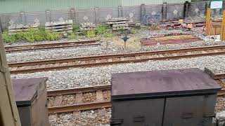 642次樹林發車經由花東線開往台東的E236單電頭+八節復興號