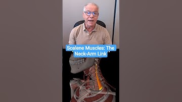 The Scalene Muscles and Your Neck