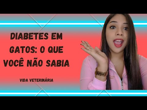 Vídeo: Prevenção E Risco De Diabetes Em Gatos Jovens - Riscos à Saúde De Gatinhos Gordos