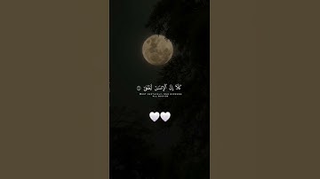 #قران_كريم #المصحف #قرآن #المنشاوي #سورة_العلق 🌹