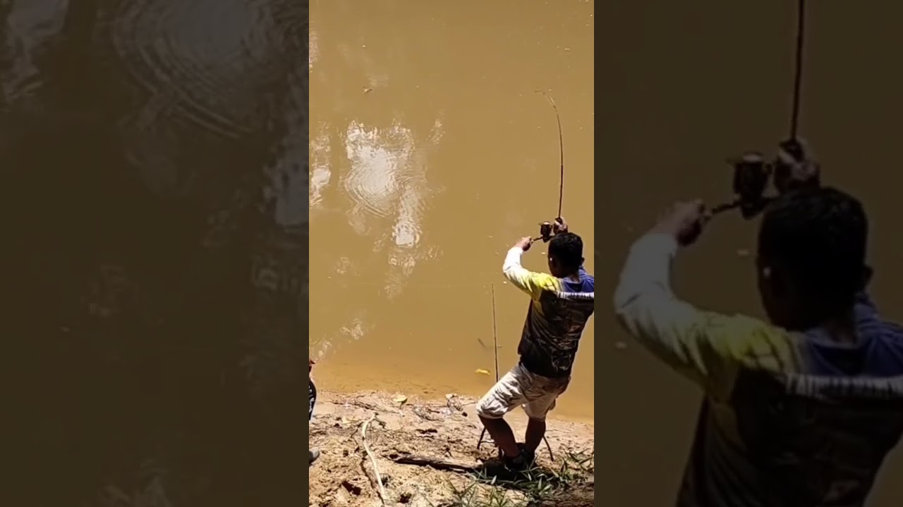 Mancing ikan betutu sebesar bayi