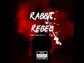 Rabbit rebel ( Ft. N.Y. C ) Hip-hop