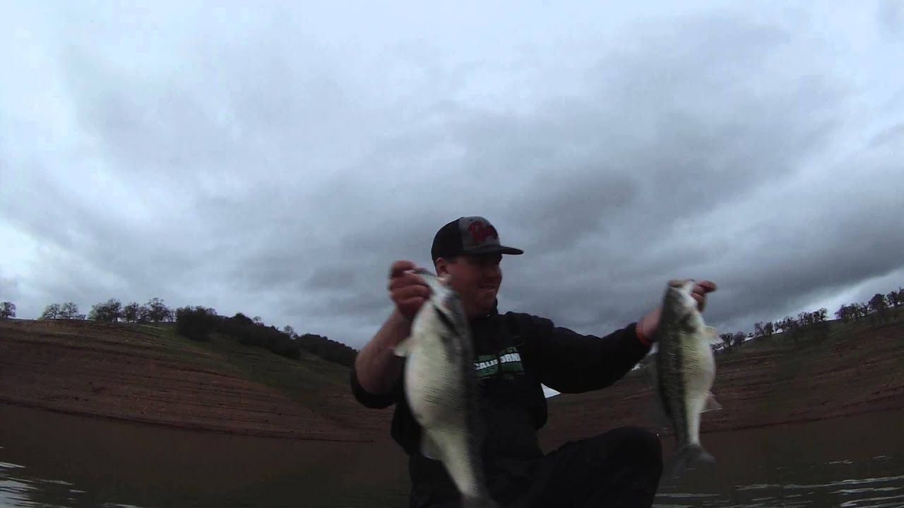 SPOTTED BASS RODEO! YouTube