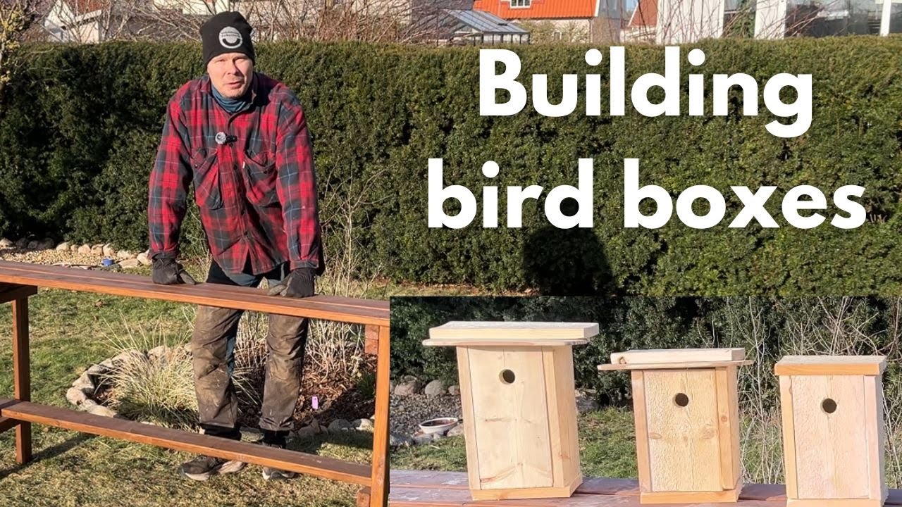 Building birdhouses | Early February