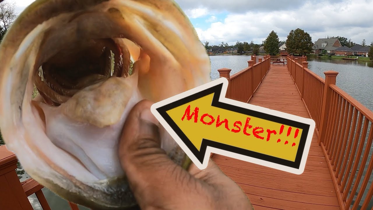 Chasing MONSTER Bass: The Ultimate Bass Fishing Adventure!! #bassfishing #outdoors #bigbass