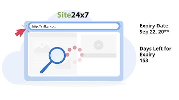 Domain expiration checks