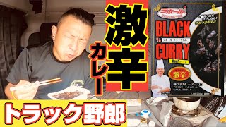 【長距離トラック運転手】ハプニング続出！激辛カレーに挑戦！積込み時間に間に合うか！？
