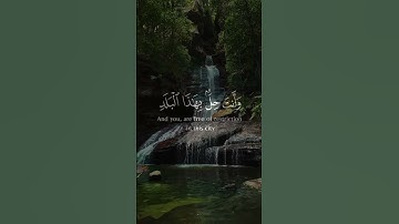 لا أقسم بهذا البلد - تلاوة خاشعة تهز القلوب للشيخ المنشاوي من سورة البلد