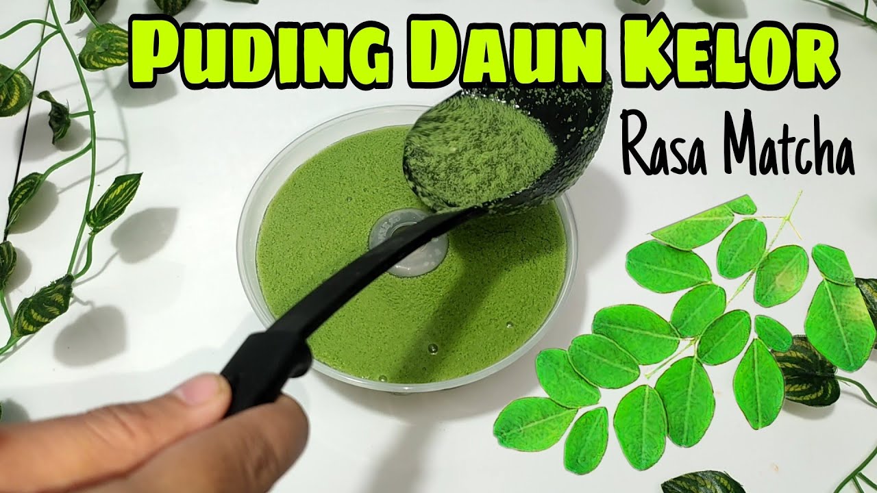 Resep Puding Daun Kelor Rasa Matcha, Tips Sehat Yang Nikmat 