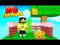 HO MIGLIORATO LA MIA ISOLA - BIG SKYBLOCK - MINECRAFT ITA