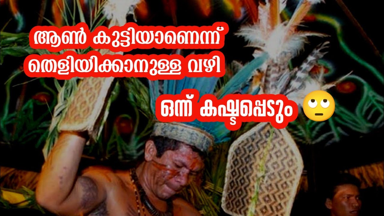 Bullet Ant Ritual Hand After bullet ant rituals | setere mawe | bullet ant sting | malayalam | hmd ...