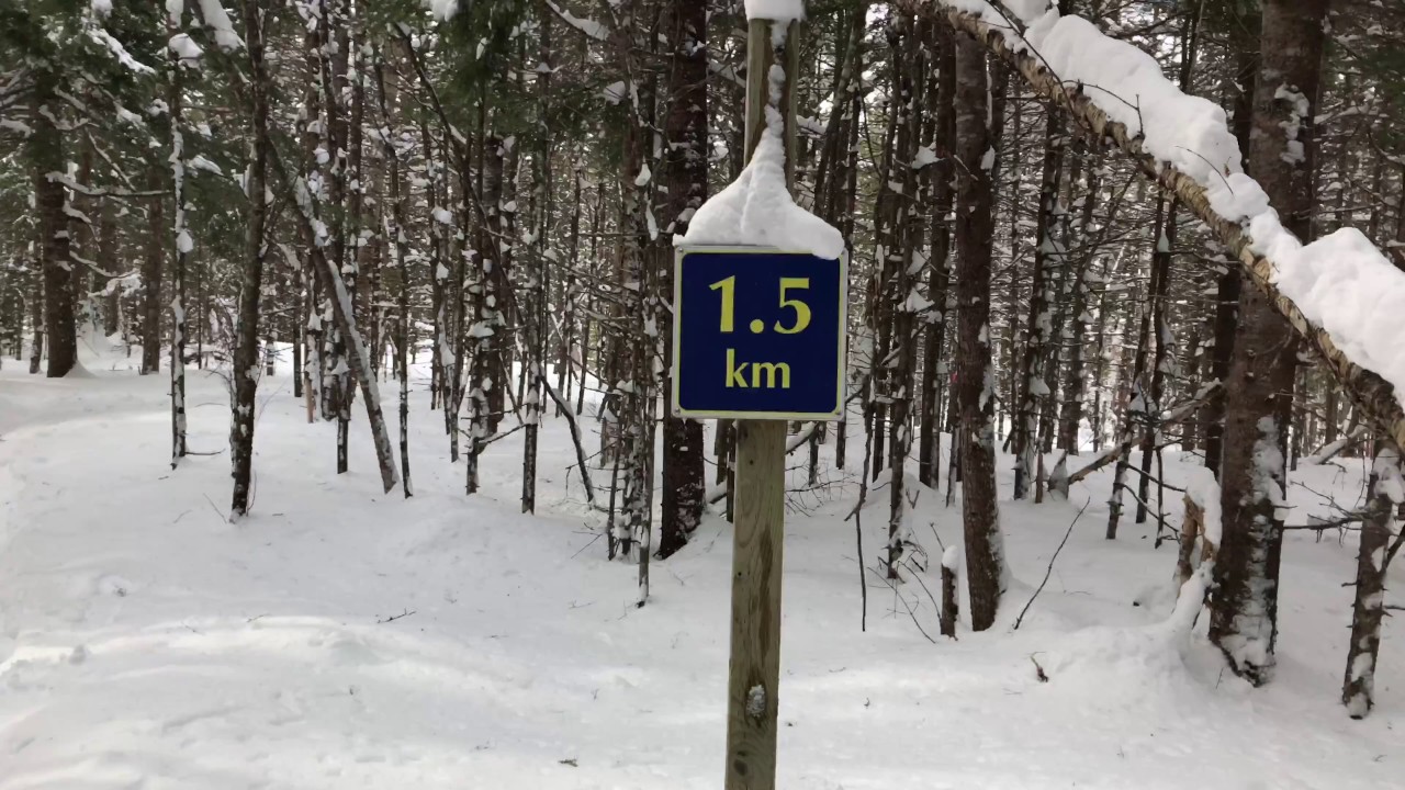 East Bay Hills Trail