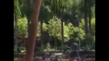 DÀN LOA KHỦNG ĐÁNH BẠI ARRAY LÀ ĐÂY