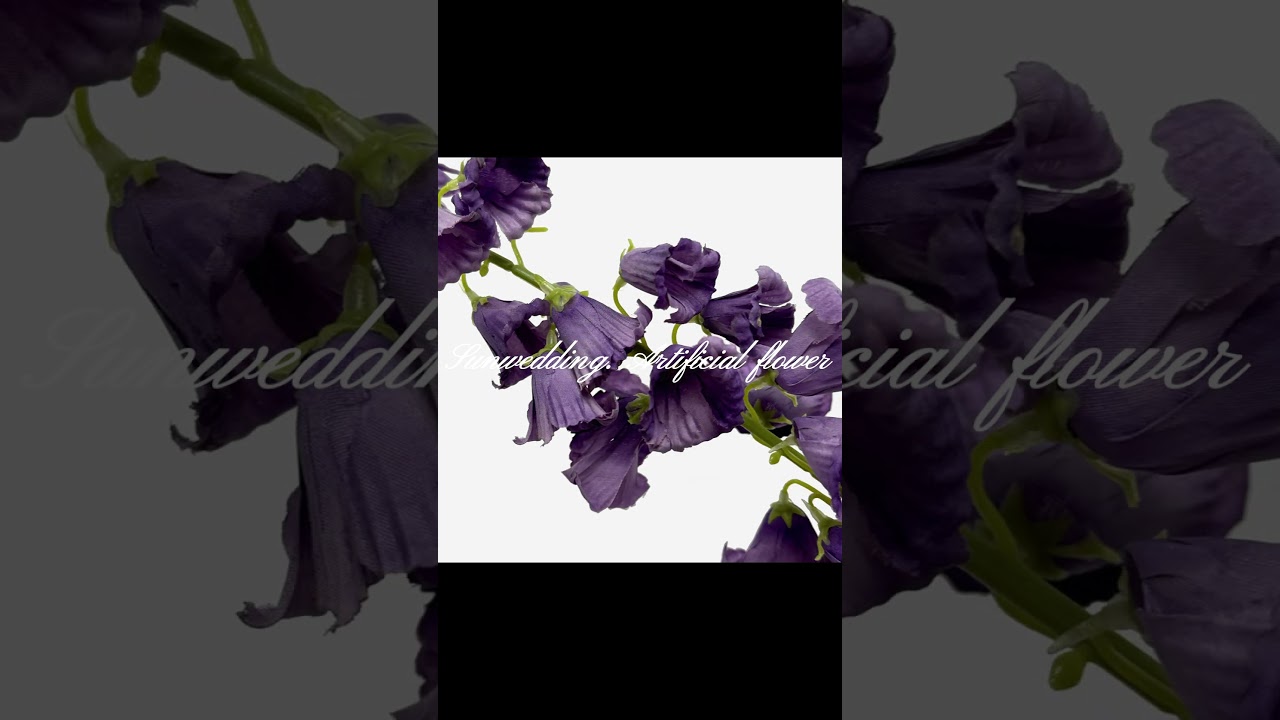 210🌿 Enigmatic Purple Blooms 🌿