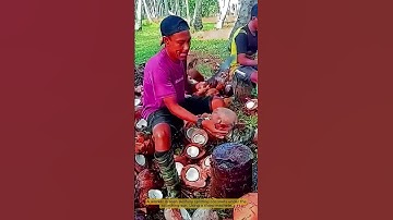 One-Strike Coconut Splitting Skill- Good tools and machinery in daily work