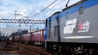 【汽笛、ミュージックホーンあり】間一髪！EF66 36 貨物 尾張一宮駅 被り回避