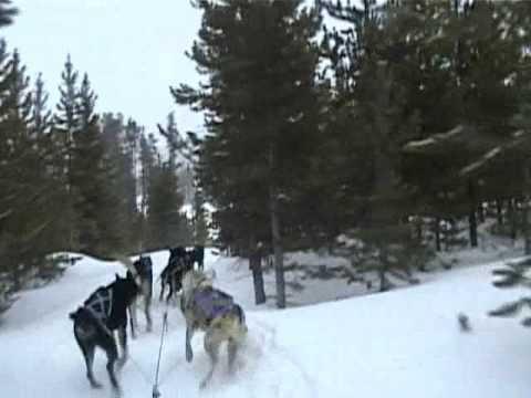 Dog Sledding with Spirit of the North Sled Dog Adv...