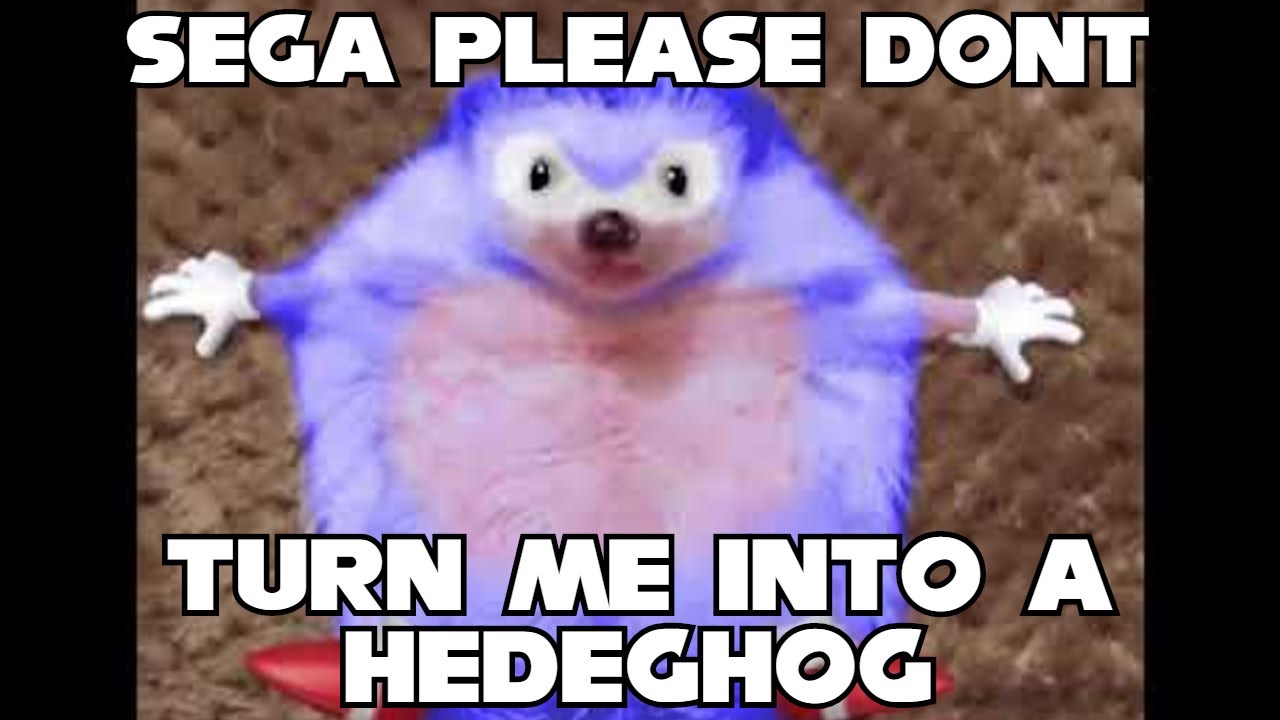 SEGA Please Don't Turn Me Into A Hedgehog (Sonic)