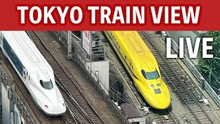 東京駅トレインビュー 新幹線(有楽町カーブ) のライブ映像
