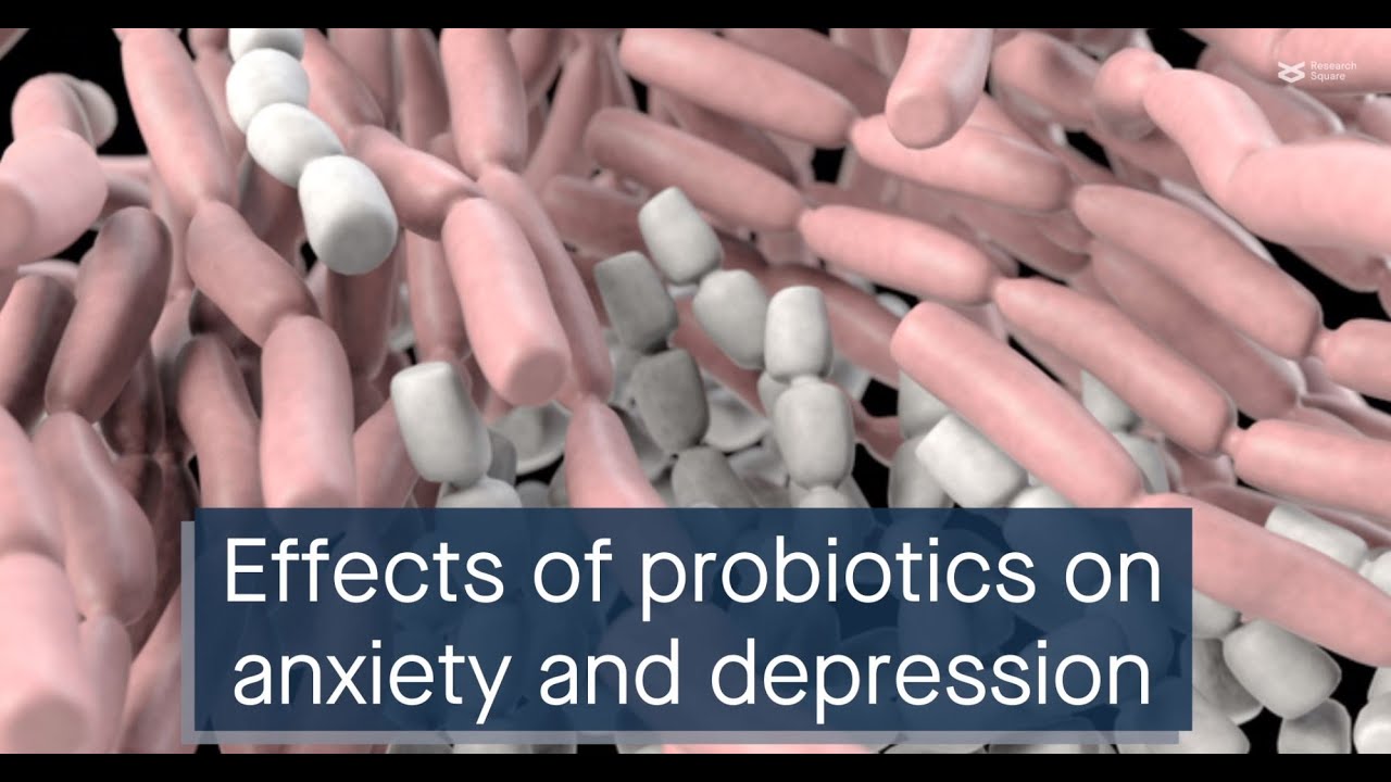 Positive effects of probiotics on anxiety and depression in mice