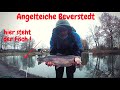 Forellenangeln mit Spoon Pose Angeln Beverstedt Bienenmade Lachsforelle Goldforelle Trout Fishing