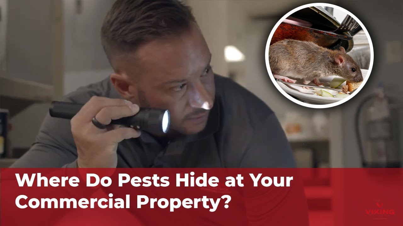 Commercial Pest Control Initial Walkthrough