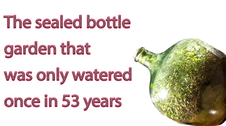 The sealed bottle garden that was only watered onc...