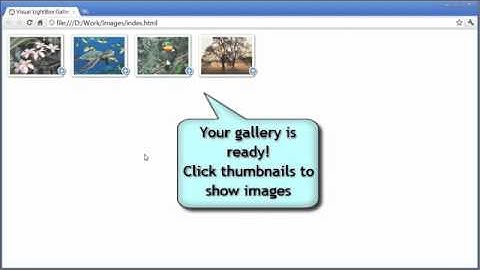 How to create VisualLightBox image gallery in a few clicks