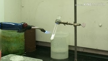 Combustion of Gummy Bear / Potassium Chlorate