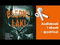 Błędne łąki. Jarosław Szczyżowski. Audiobook PL [Thriller]