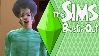The Sims Bustin' Out Retrospective - A Stylized Follow-Up