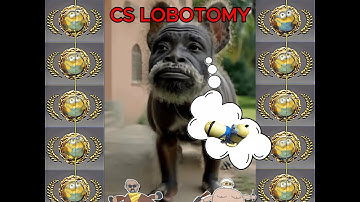 CS LOBOTOMY 2