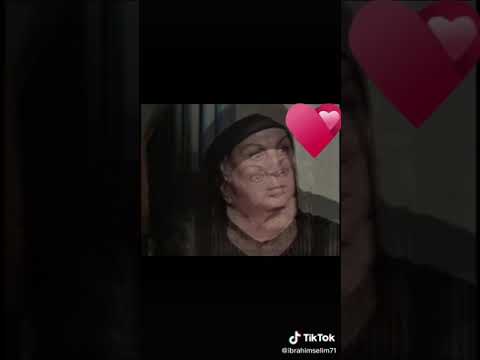 مقدمة ذئاب الجبل