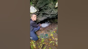 Cái Bẫy nguy hiểm  Dưới Hang Động #bancobiet #vatly #suthat #khampha #fact #độngvật #độngvật