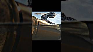 Rango All Best Scenes Rango -17