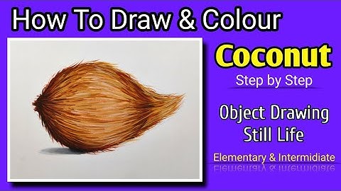 How to Draw Object Drawing Coconut / Elementary Intermediate Drawing Exam / Coconut Drawing 