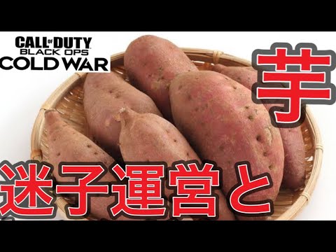【CoD:BOCW】遂に壊れた運営と芋環境復活により投稿者のテンションは弱体化されました【実況】