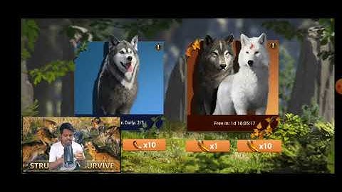 Wolf Game : The Wild Kingdom Full Game Walkthrough