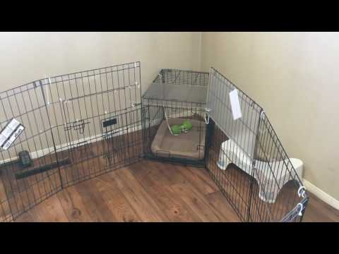 Puppy Play Pen