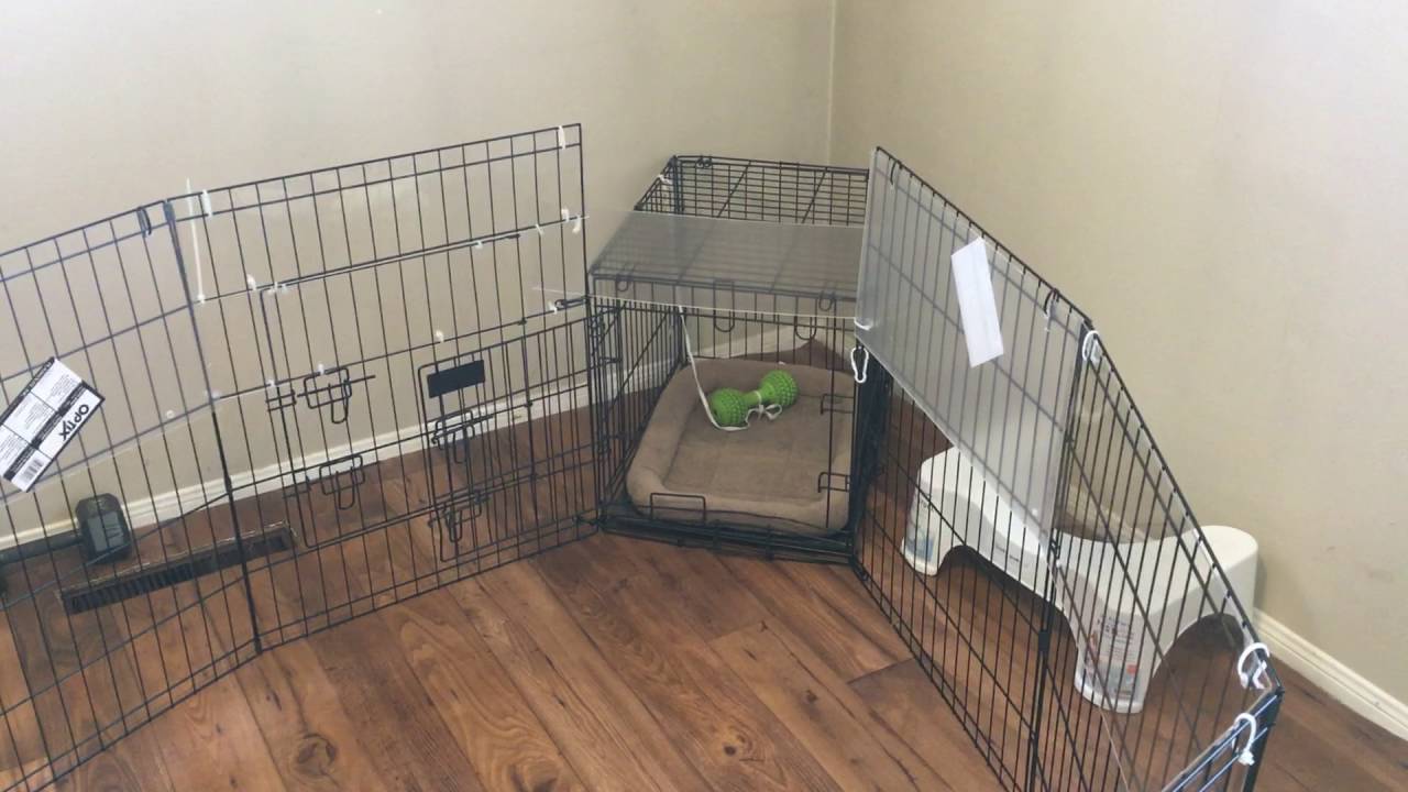 setting up a puppy pen