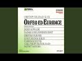 Miniature de la vidéo de la chanson Orfeo Ed Euridice: Atto I, Scena 1. Recitativo “Basta, Basta, O Compagni” (Orfeo)