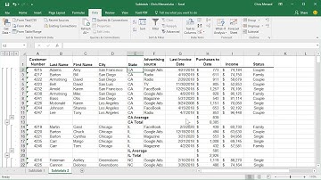 Subtotals within Subtotals in Excel by Chris Menard